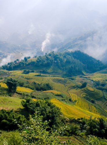 sapa13